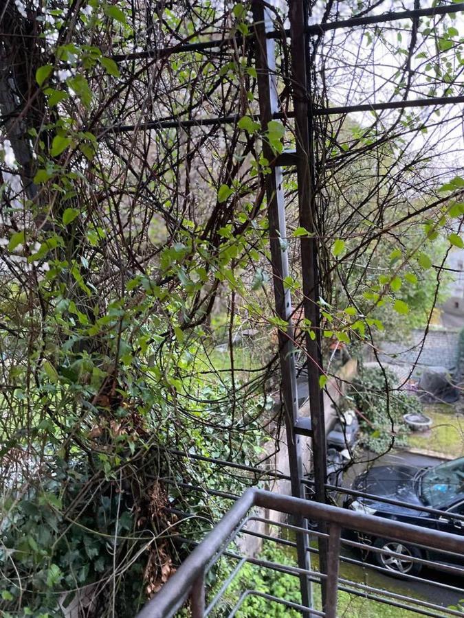 Schoene Wohnung In Zentraler Lage Im Ruhrgebiet วิทเทน ภายนอก รูปภาพ